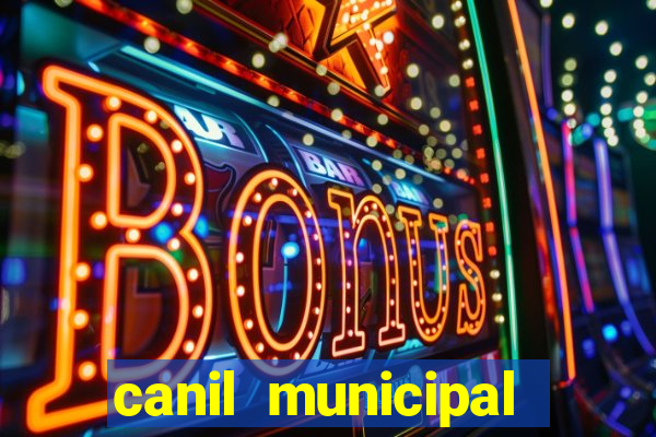 canil municipal porto alegre